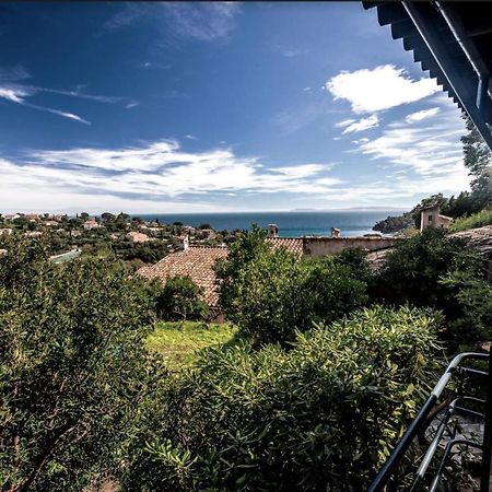 Petite Maison De Vacance Vue Mer Le Lavandou Exterior photo